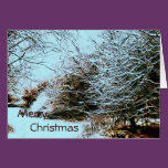 Christmas Greeting Card. cards