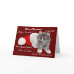 Christmas greeting map cat cards