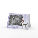Christmas Greyhound / Whippet / Italian Greyhound Greeting Cards