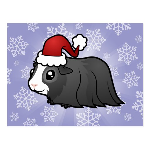 Christmas Guinea Pig (long hair) Post Cards
