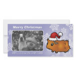 Christmas Guinea Pig (scruffy) Picture Card