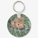 Christmas hamster