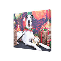 Christmas - Harlequin Great Dane - Baron Canvas Print