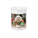 Christmas - Havanese - Mason Pitcher