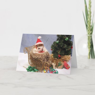 Christmas Hedgehog Card