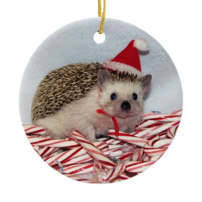 Christmas Hedgie Ornament