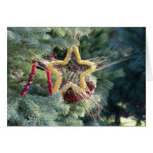Christmas Holiday Card