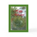 Christmas Holiday Cards
