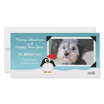 Christmas Holiday Penguin Photo Card