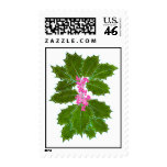 Christmas Holly Berries Festive Postage Stamp