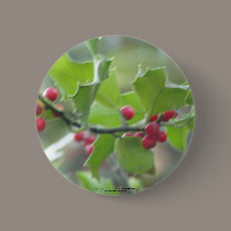 Christmas holly berry buttons