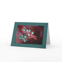 Christmas Holly cards by Rmarvil Christmas Holly cards
