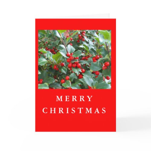 Christmas Holly card