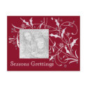 Christmas Holly-   Holiday Card postcards