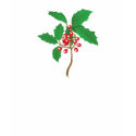 Christmas Holly t-shirts