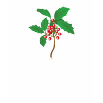 Christmas Holly t-shirts by Lidusik Christmas Holly t-shirts