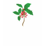 Christmas Holly t-shirts