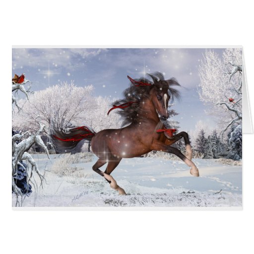 Christmas Horse Arabian Card Zazzle