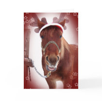 Christmas Horse Greeting Card