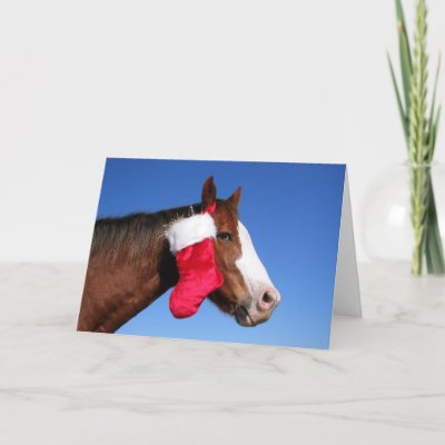 Christmas Horse cards