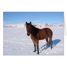 Christmas Horse Card