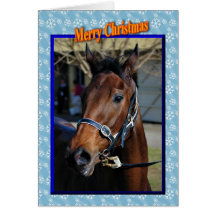 Christmas horse Happy holidays xmas animals Greeting Cards