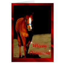 Christmas Horse Merry Christmas xmas Card