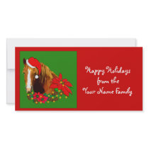 Christmas Horse photo cards by orsobear Christmas Horse photo cards