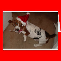 CHRISTMAS HOUND 1 cards