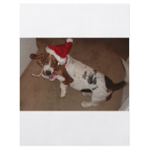 CHRISTMAS HOUND 1 flyers