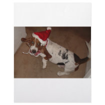 CHRISTMAS HOUND 1 letterhead