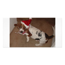 CHRISTMAS HOUND 1 PHOTO CARD