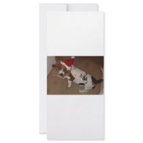CHRISTMAS HOUND 1 rack cards
