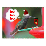 Christmas Hummingbird with Christmas Stocking Postcards