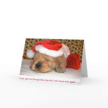 Christmas Humor, Golden Retriever Puppy cards