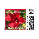Christmas in Hawaii stamp