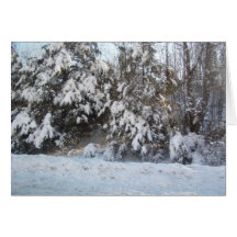 Christmas in the country greeting cards