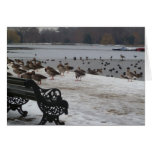 Christmas in the Park cards