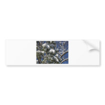 Christmas    Is A Time Bumper Stickers