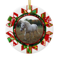 Christmas is Coming Ornament