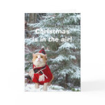 Christmas is in the Air! cards