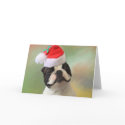 Christmas Jack cards