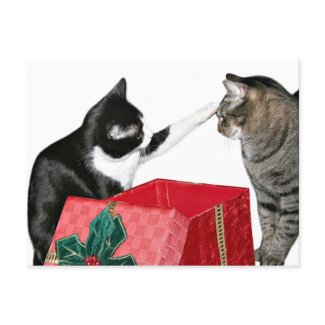 Christmas jealousy postcard