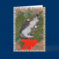 Christmas Kitten Card