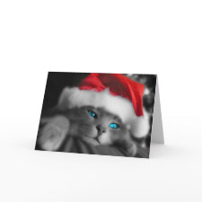 Christmas Kitten card