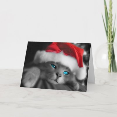 Christmas Kitten Cards