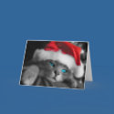 Christmas Kitten cards