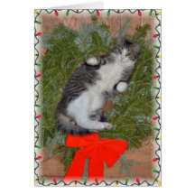 Christmas Kitten Card