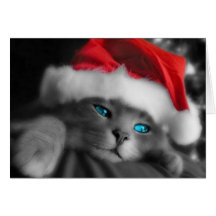 Christmas Kitten Cards