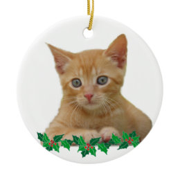 Christmas Kitten Dax ornament